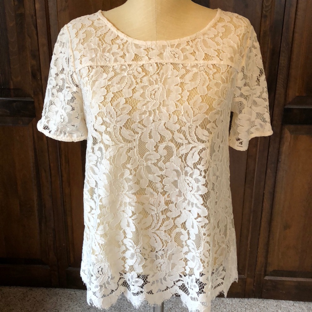 LOFT Lace short sleeve shell